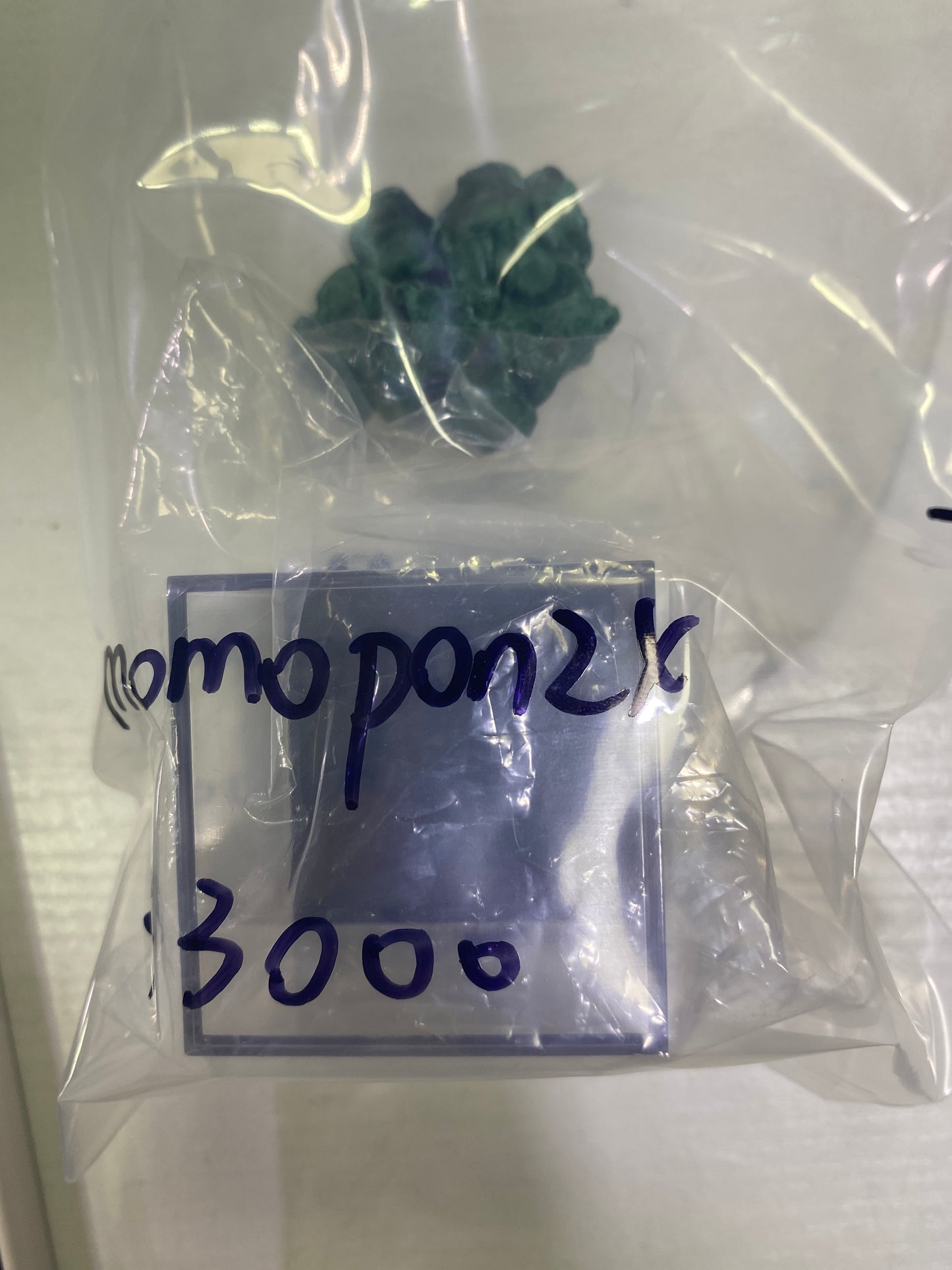 40-momopon24様