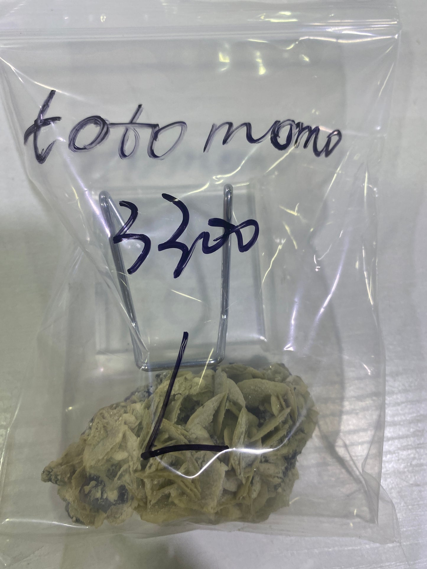 36-totomomo様