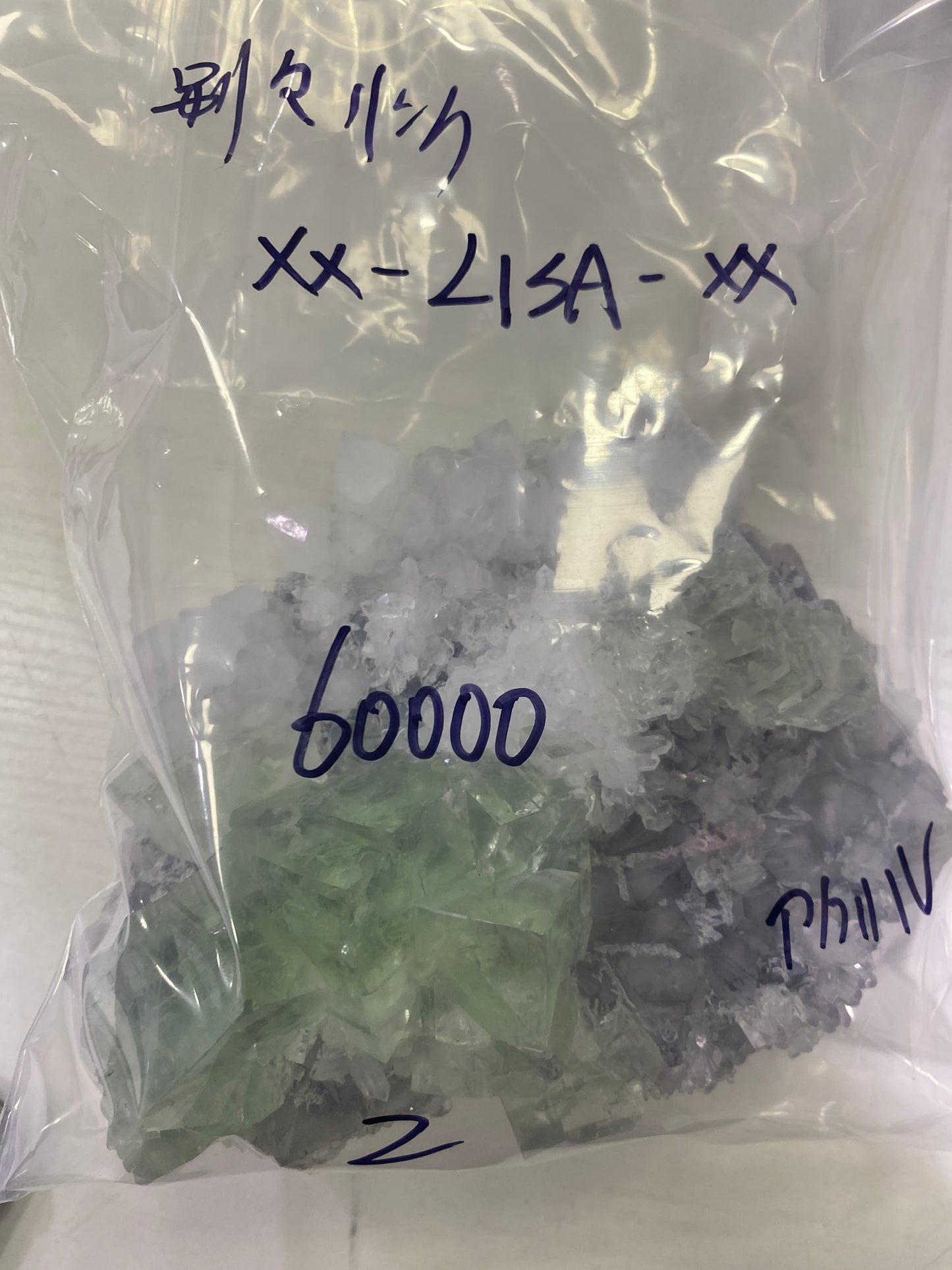 24-XX-LISA様-2