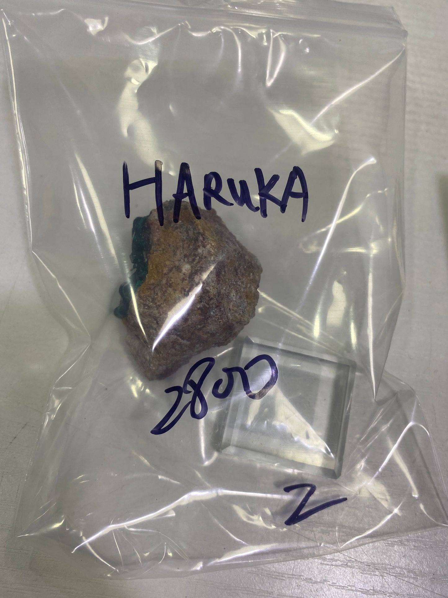 36-HARUKA様