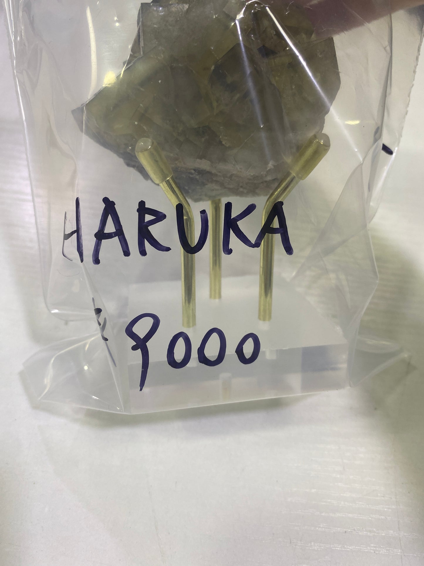 36-HARUKA様