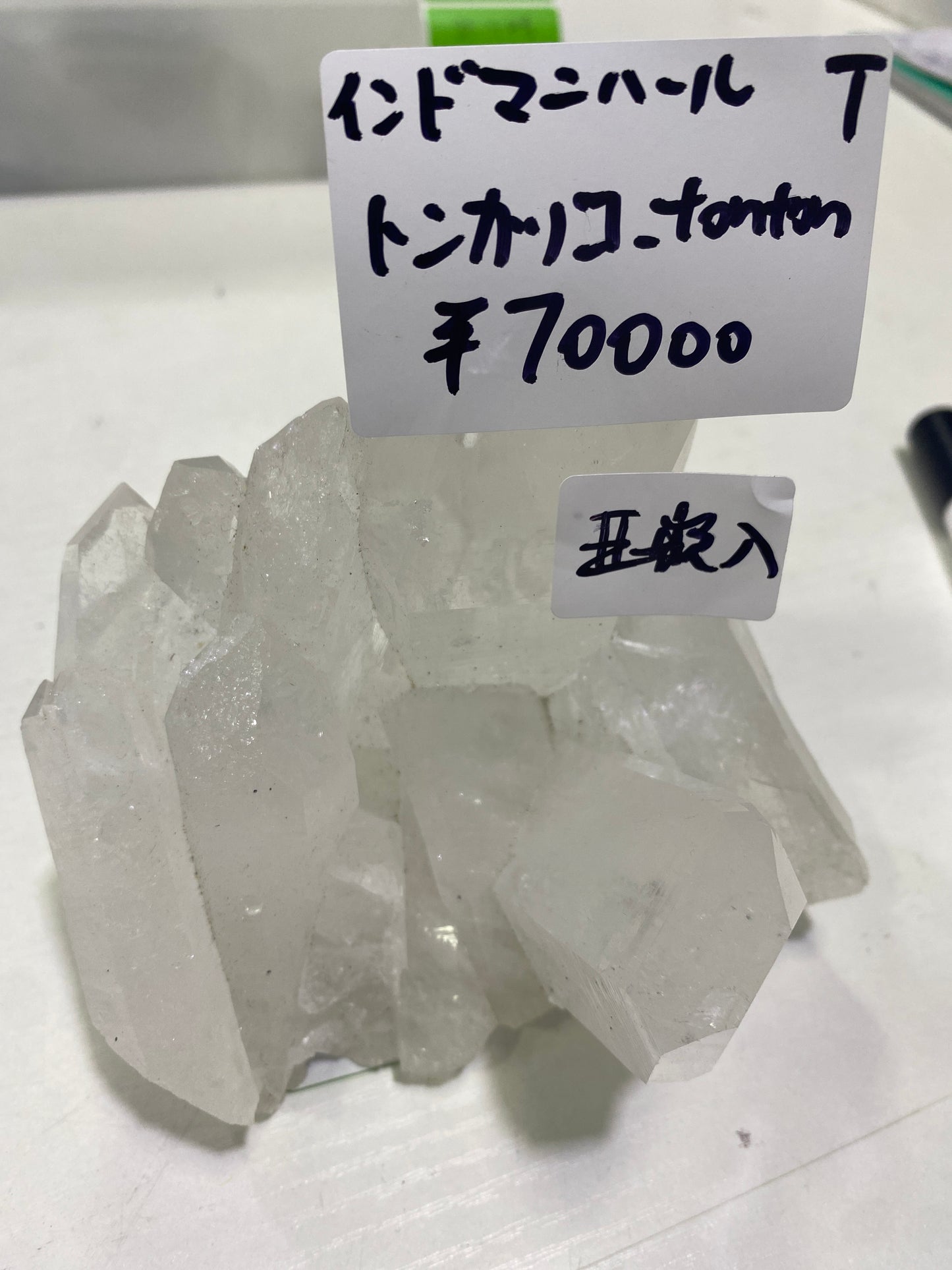 32-トンカツコ様