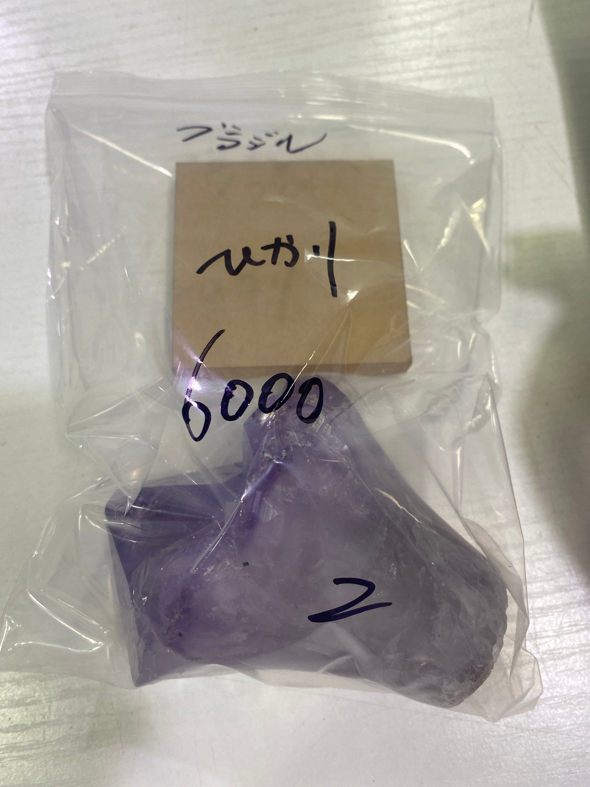 14-ひかり様9月26日まで