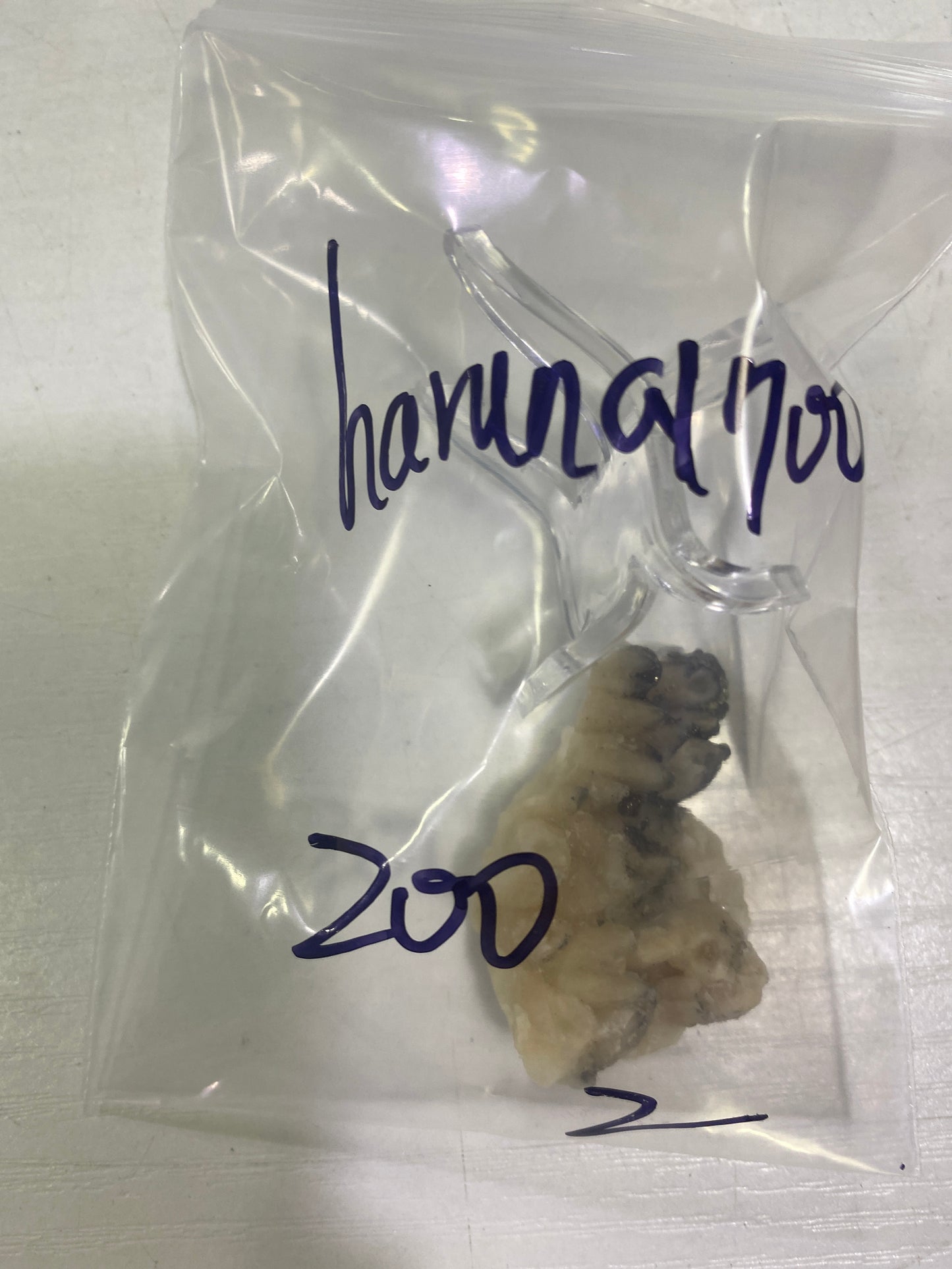 10-haruna1700様