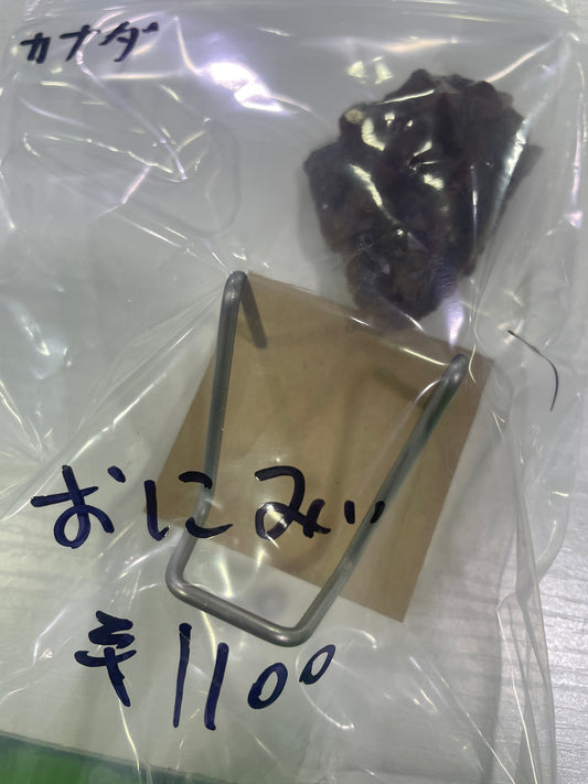 26-おにみぃ様