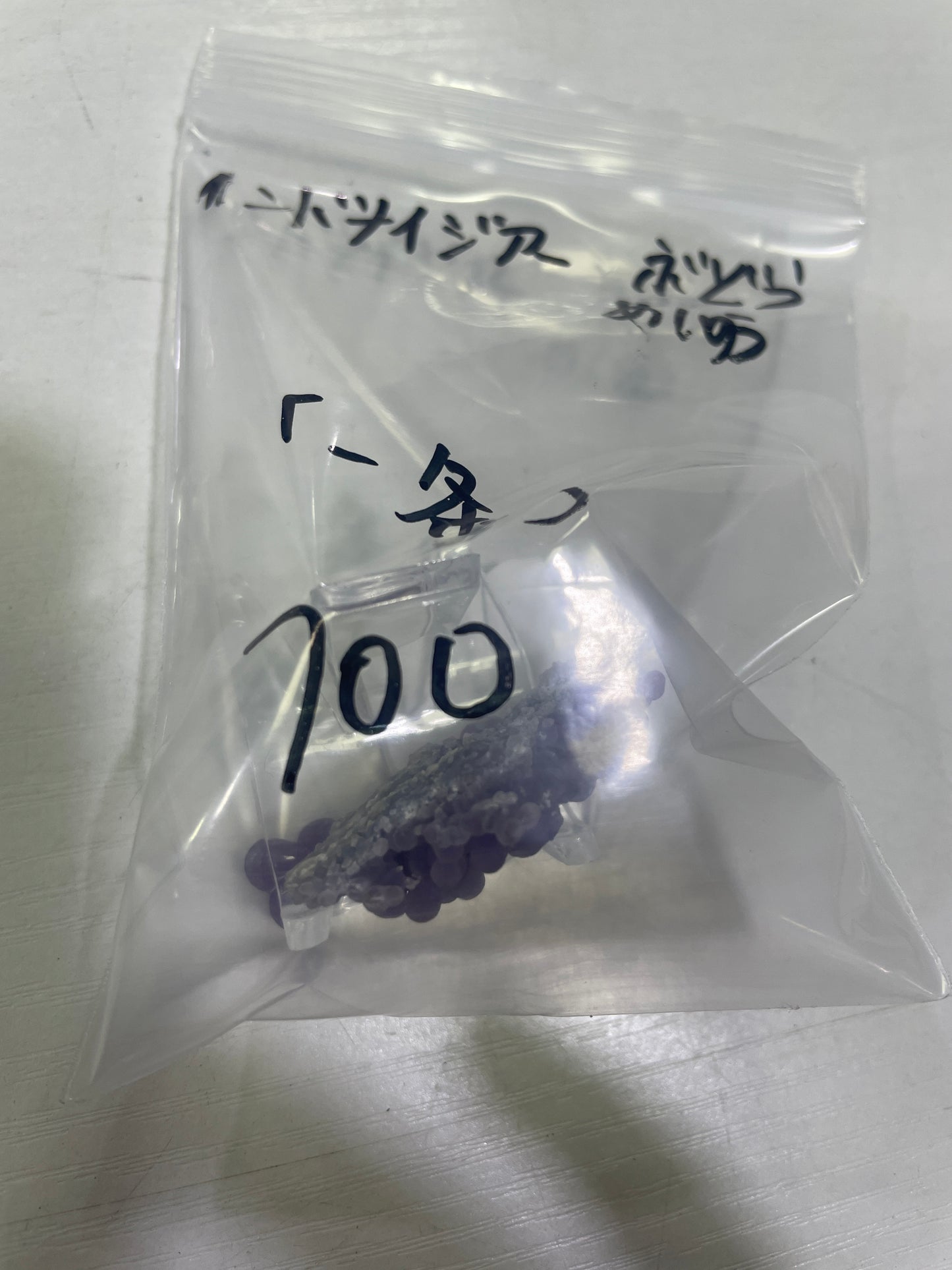 02-一条様