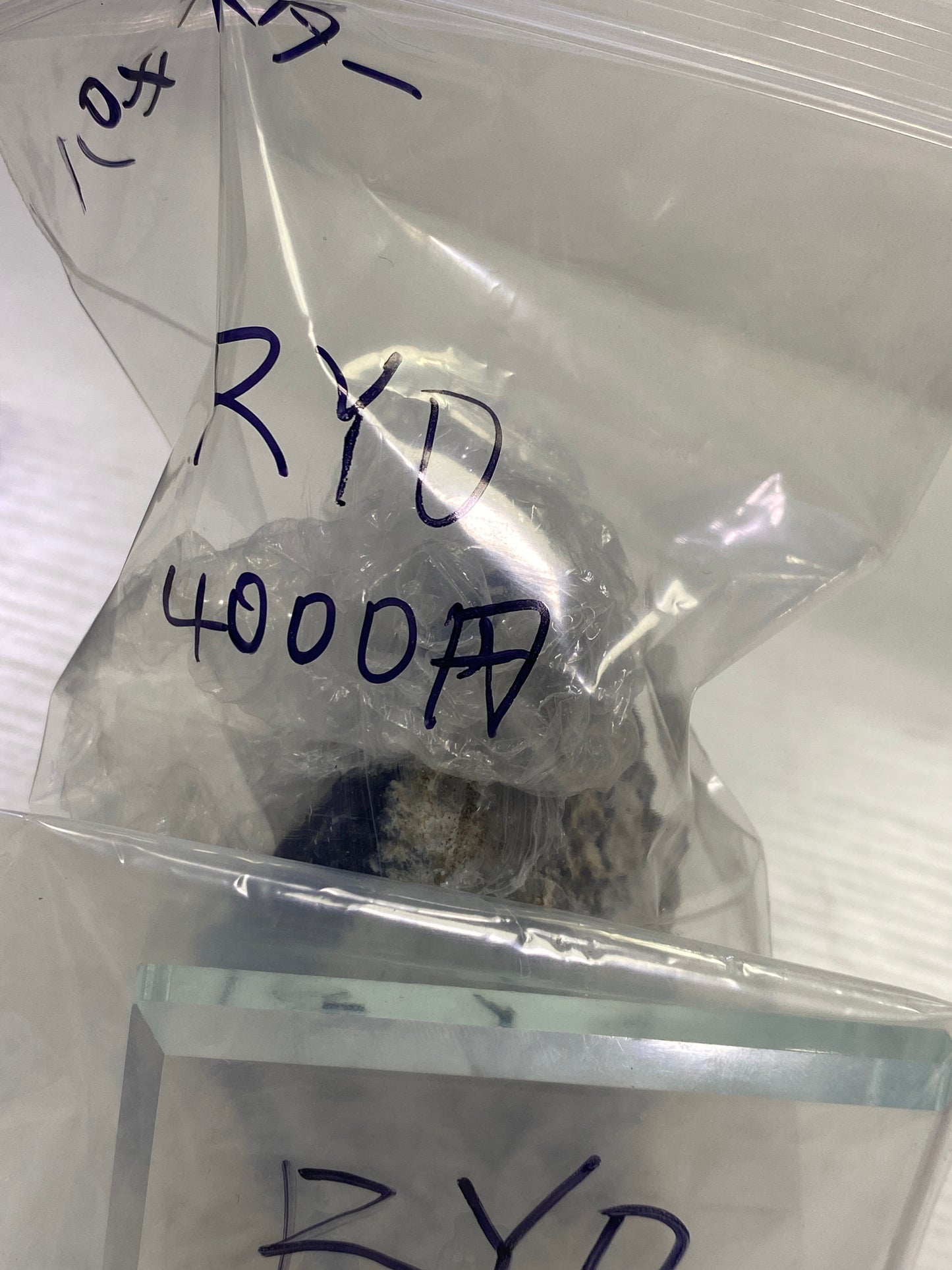 65-RYO様