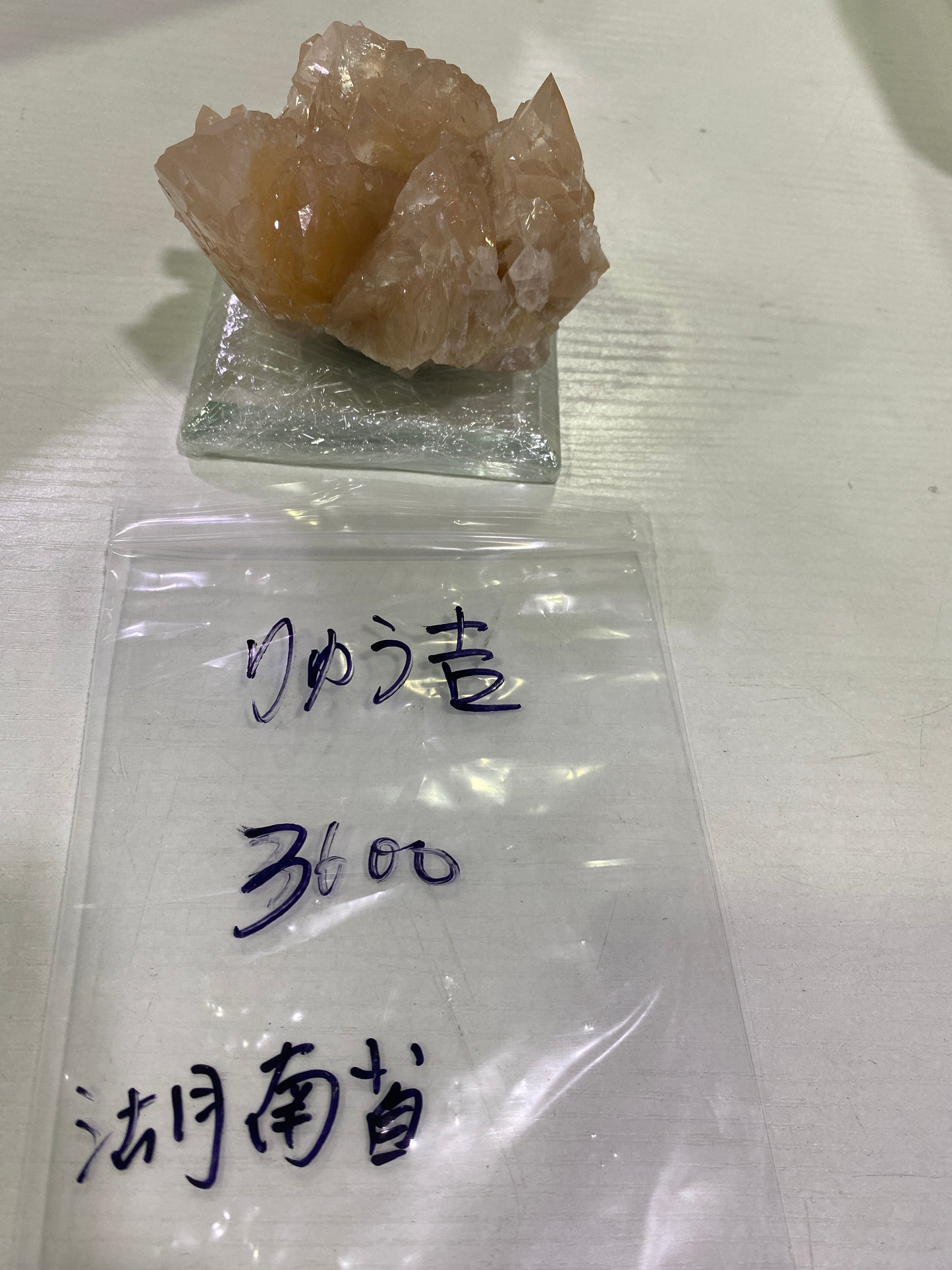 36-りゅう吉様