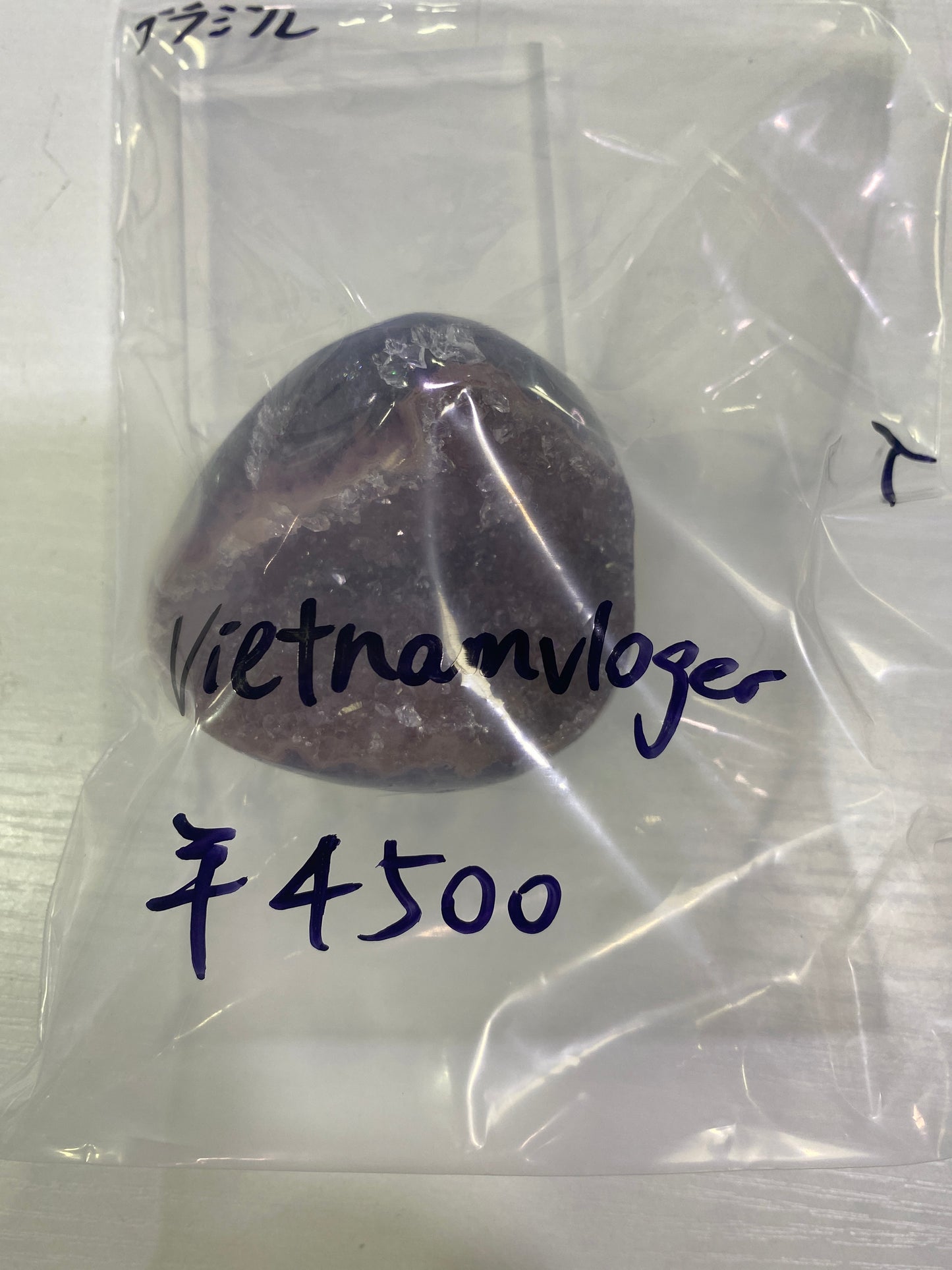 29-vietnamvloger様