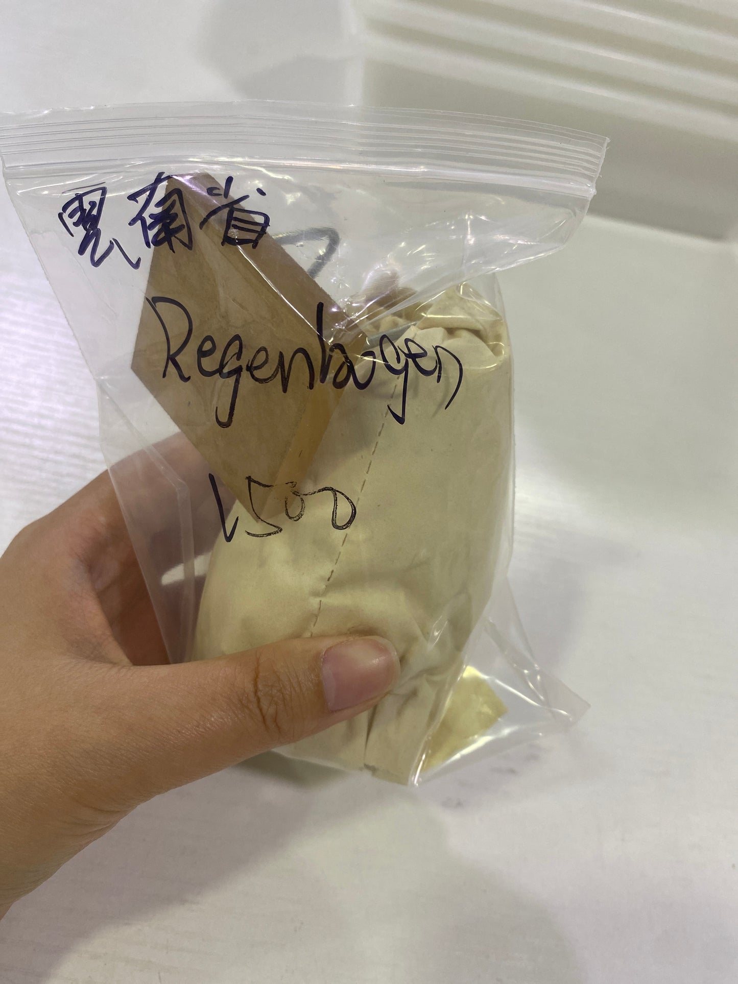 118-Regenhogen様