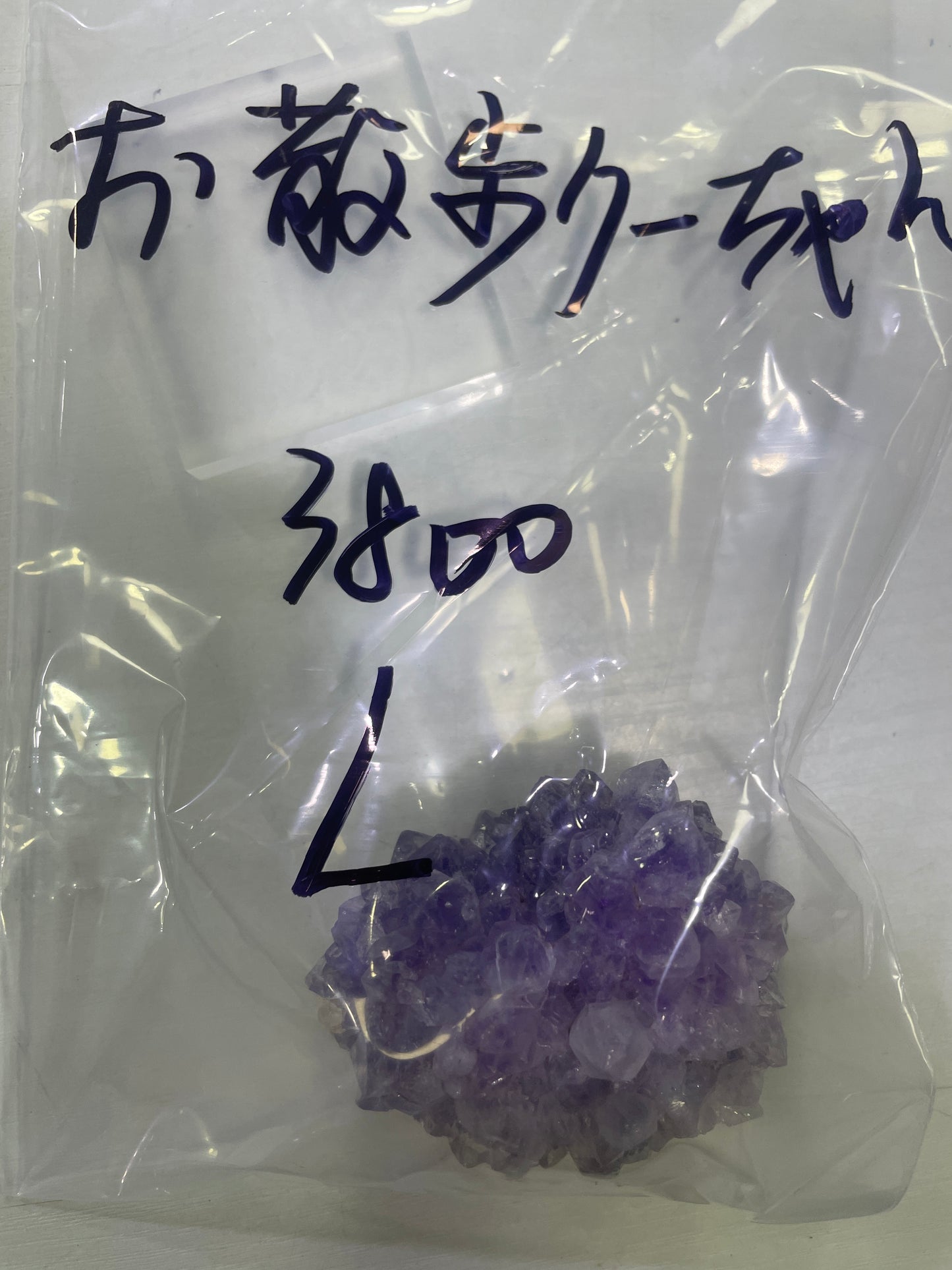 30-お散步クーちゃん様