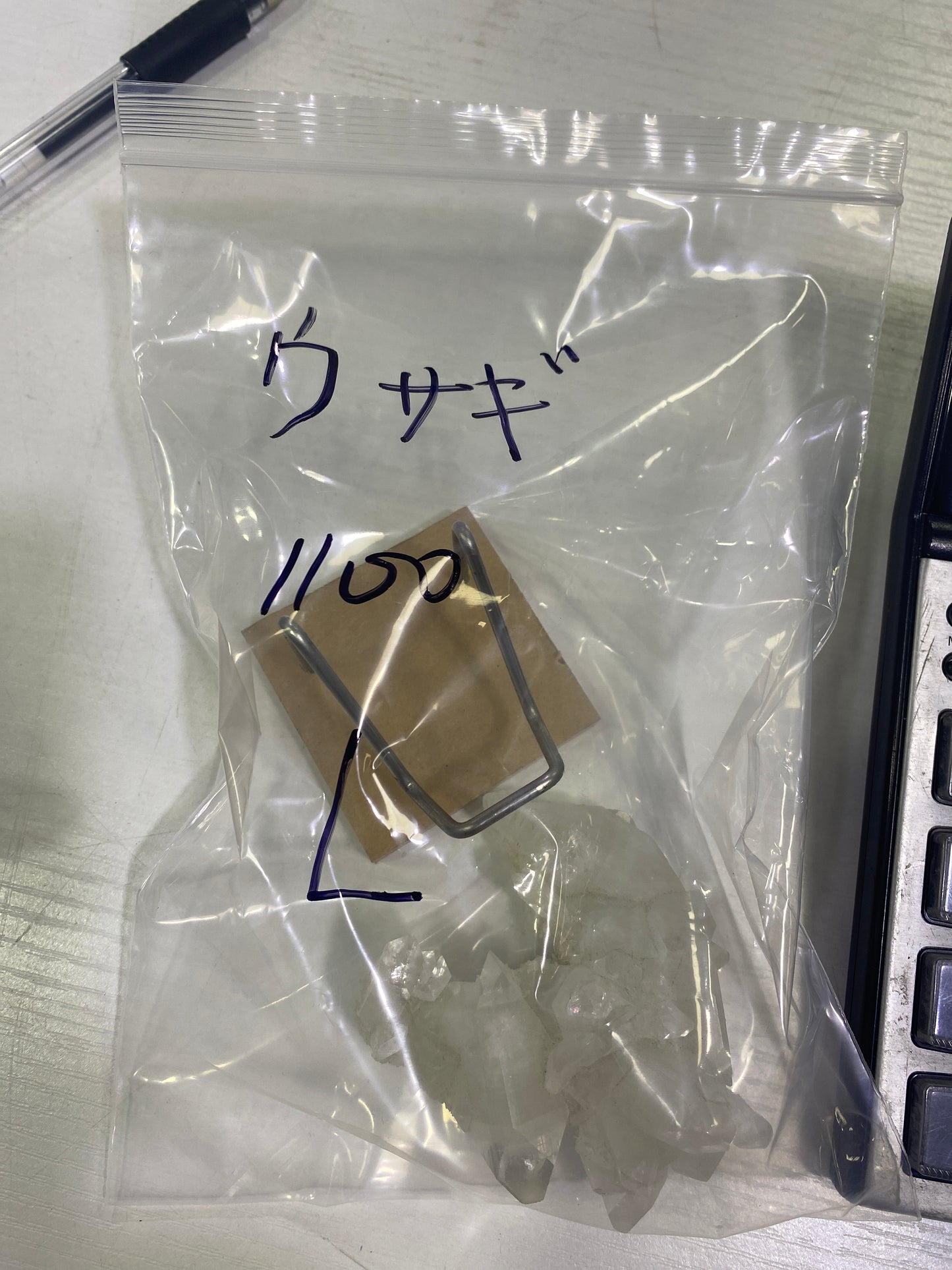 11-ウサギ様