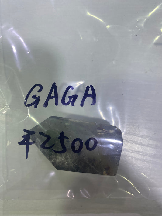14-GAGA様9月15日