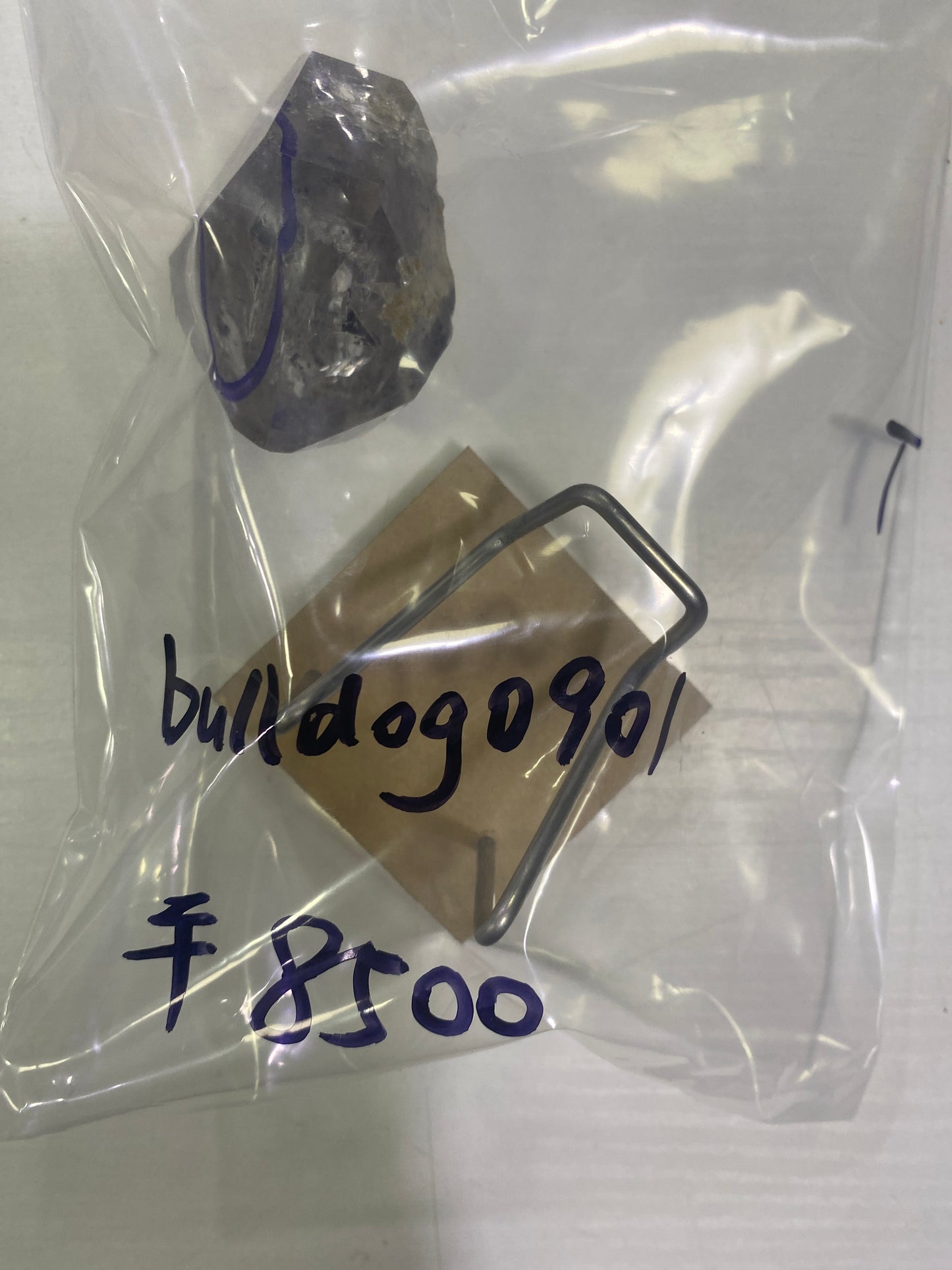 31-bulldog0901様