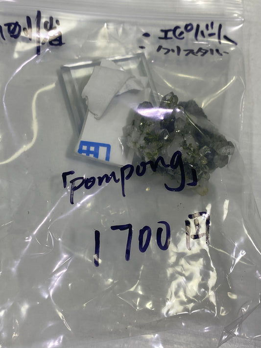 42-pompong様