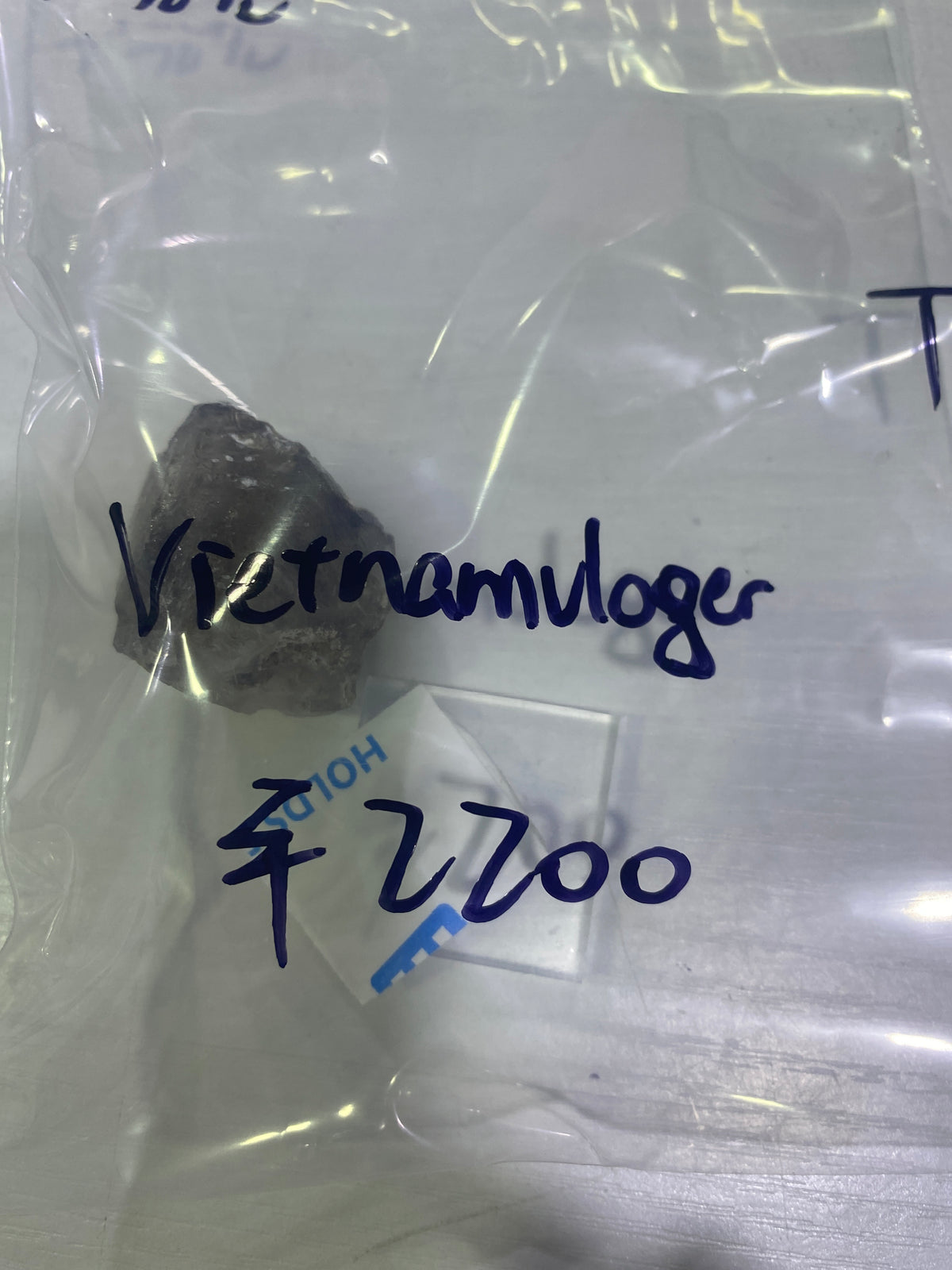 80-vietnamvloger様9月14日まで