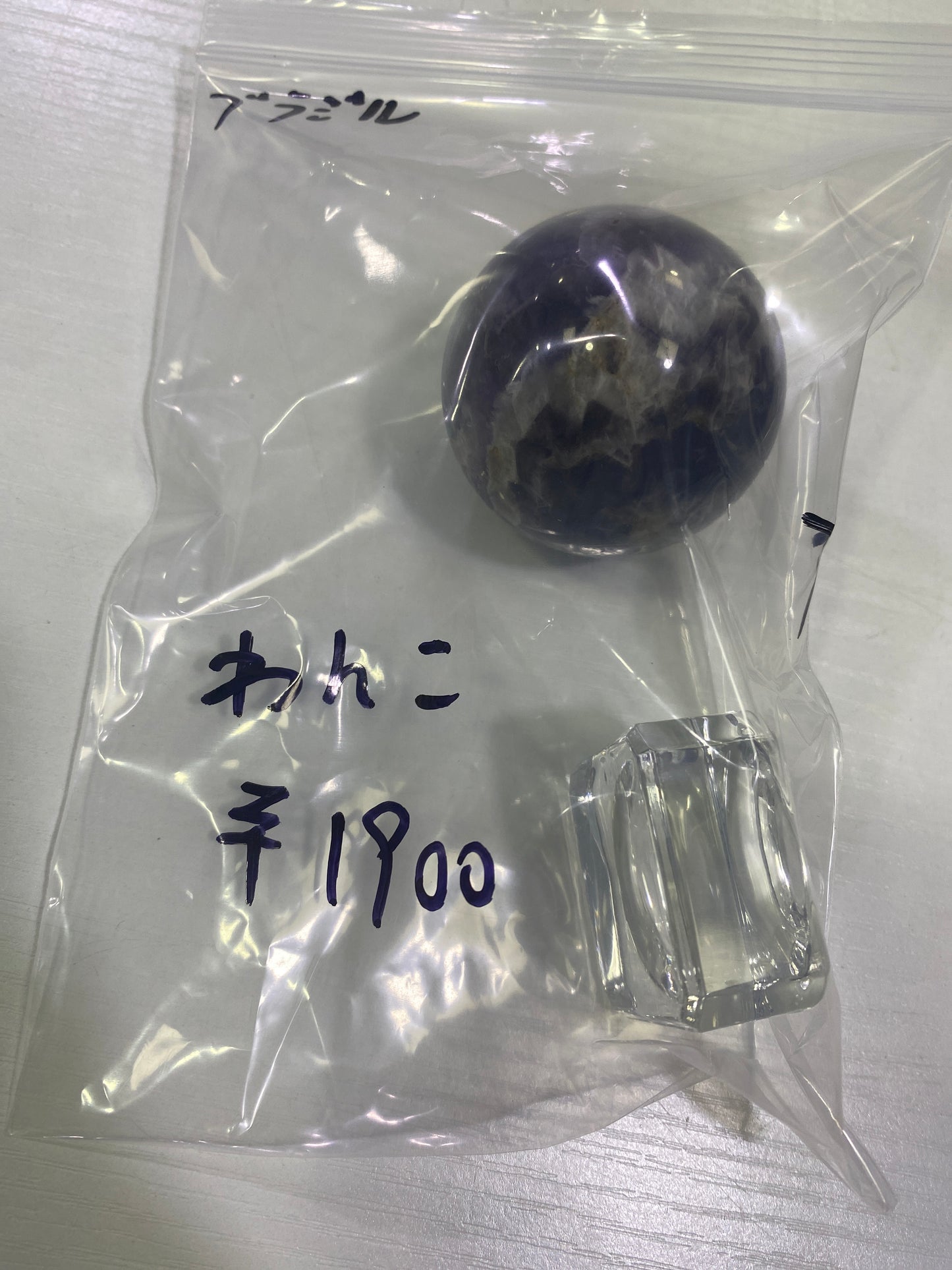 48ーわんこ様