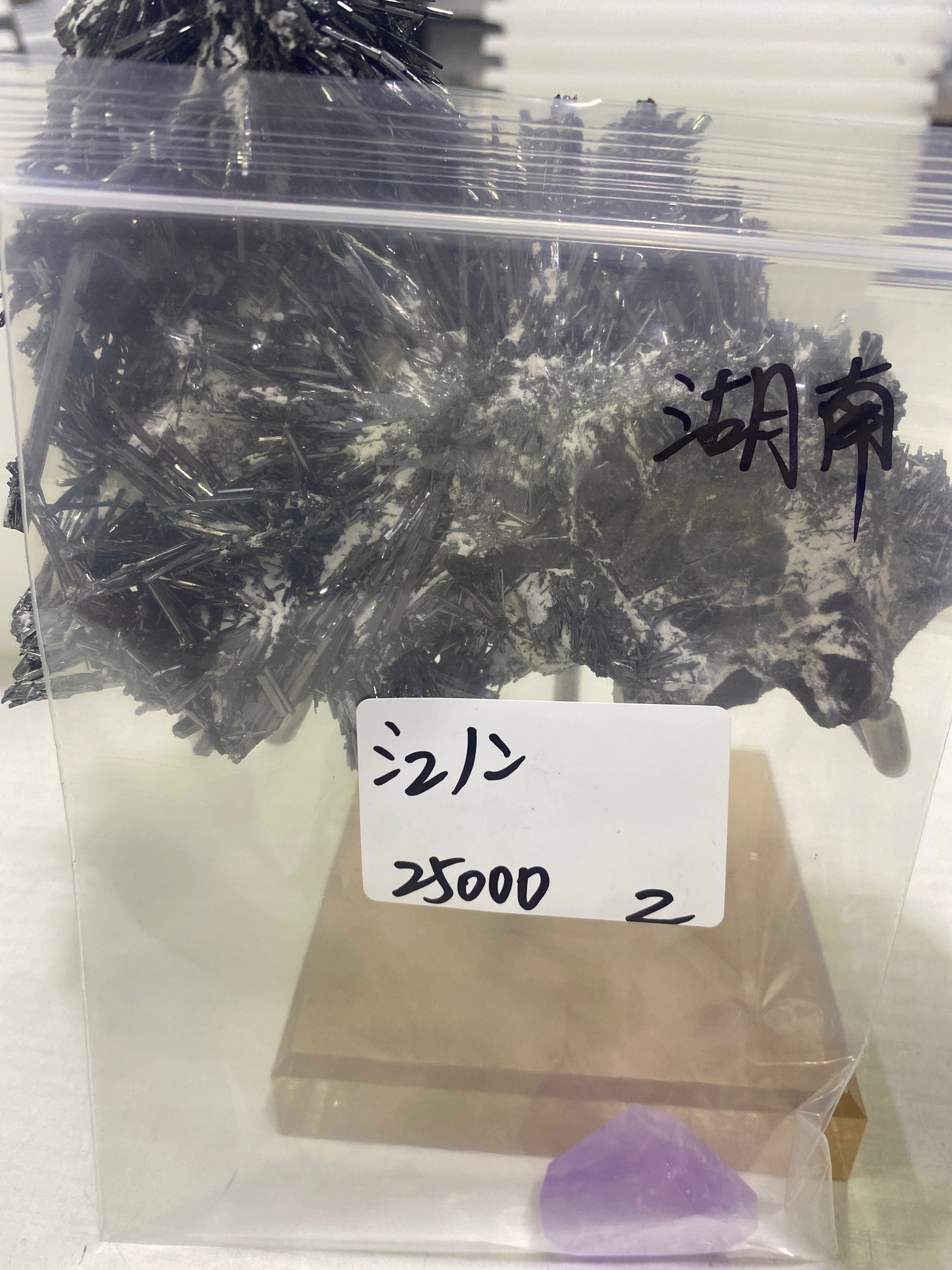75-シュノン様