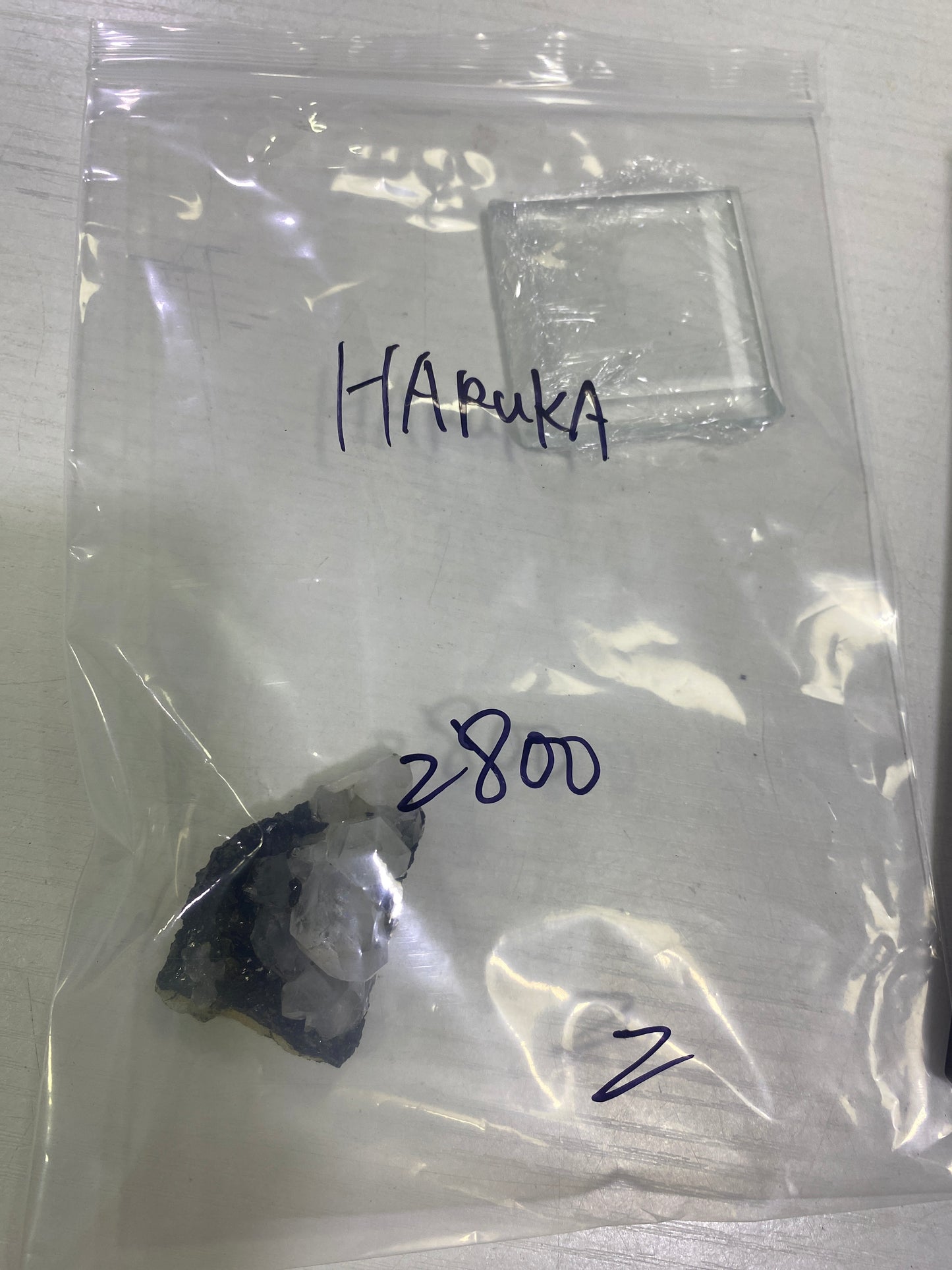 15-HARUKA様8月24日まで