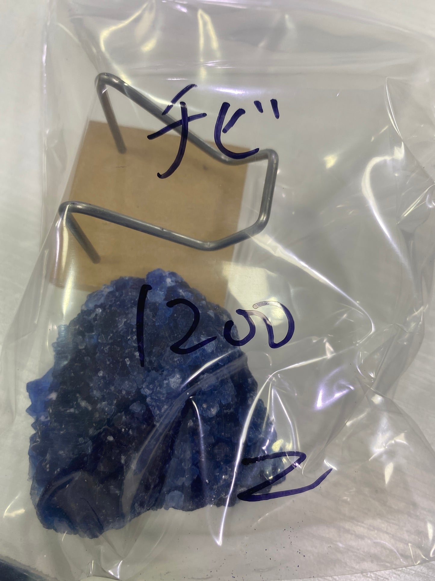48-チビ様