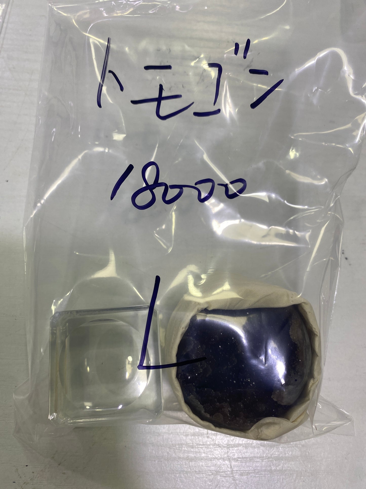 26-トモゴン様