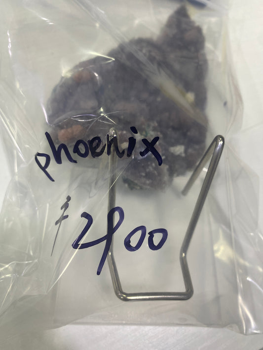 84-phoenix様