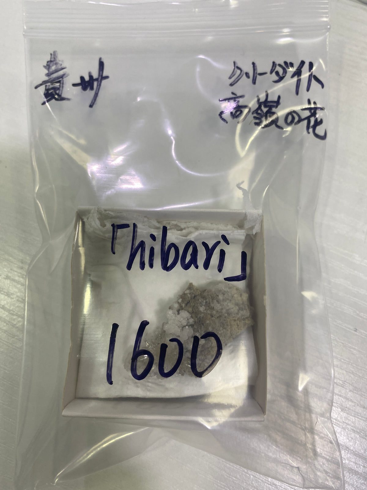 54-hibari様9月22日まで