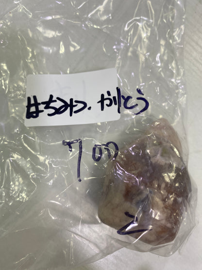 39-はちみつ様