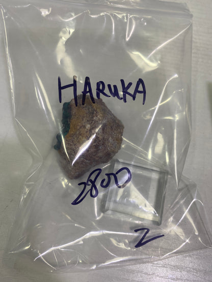 36-HARUKA様