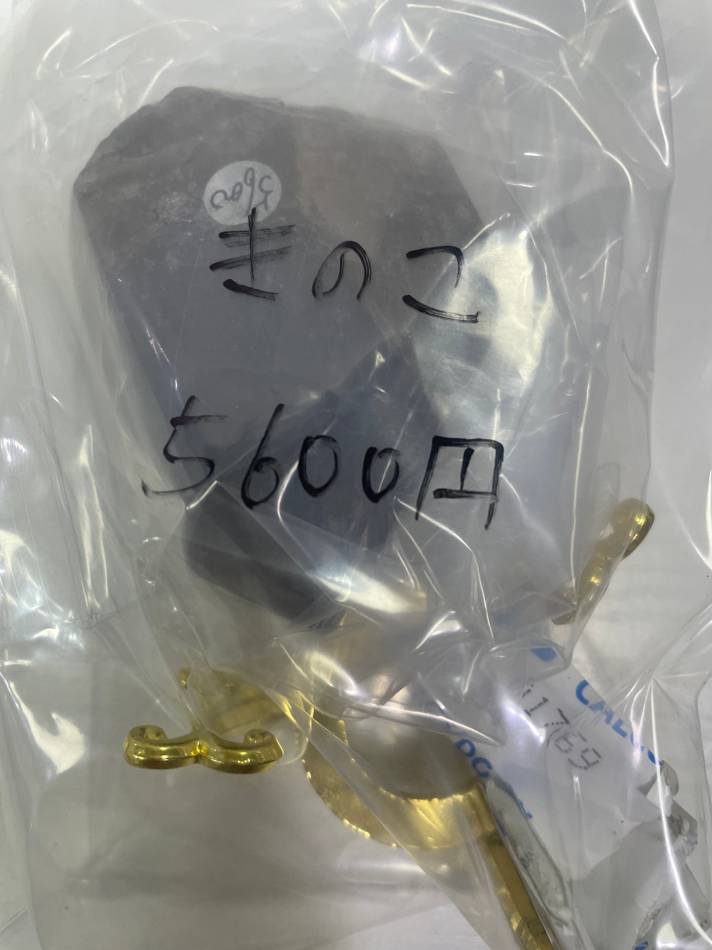 72-きのこ様paypay