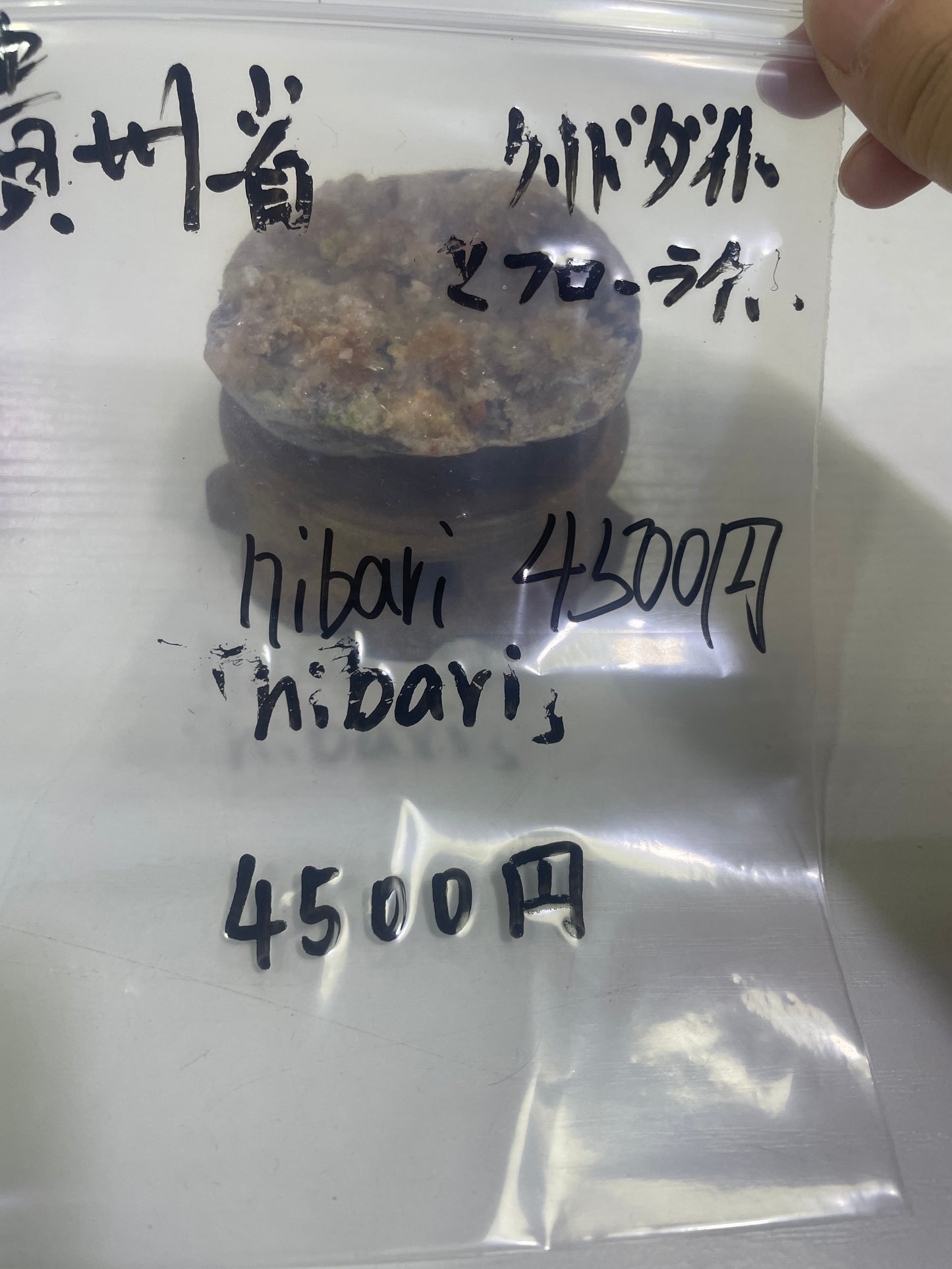 70-hibari 様