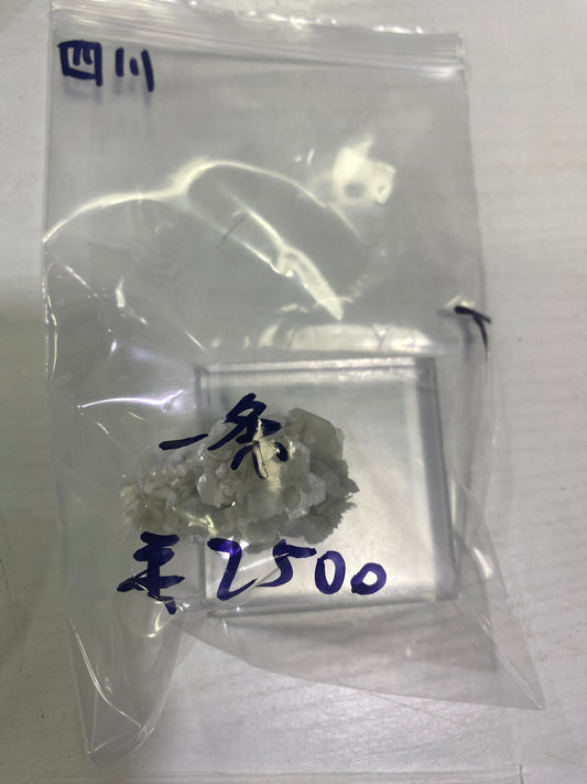 117-一条様