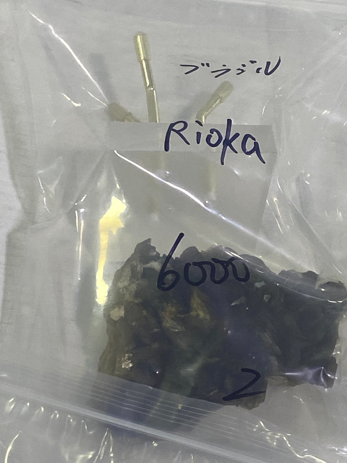 57-Rioka様9月19日まで