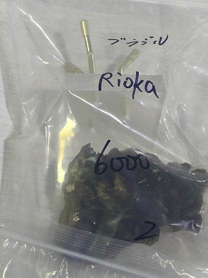 57-Rioka様9月19日まで