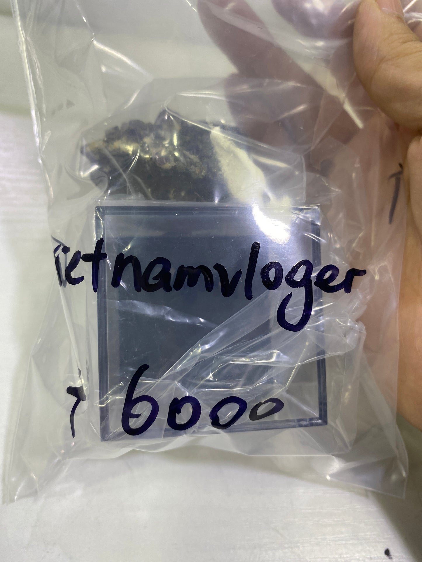 36-vietnamvloger様