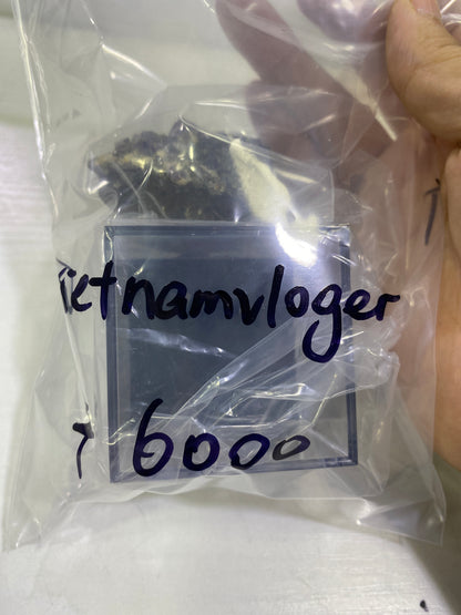 36-vietnamvloger様