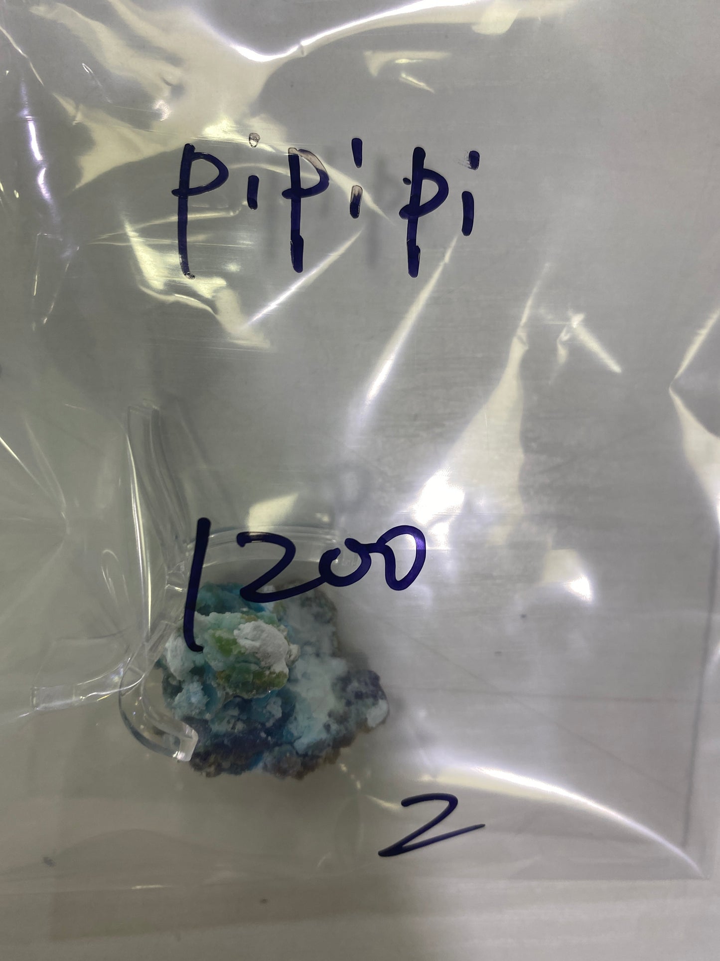 06-pipipi様