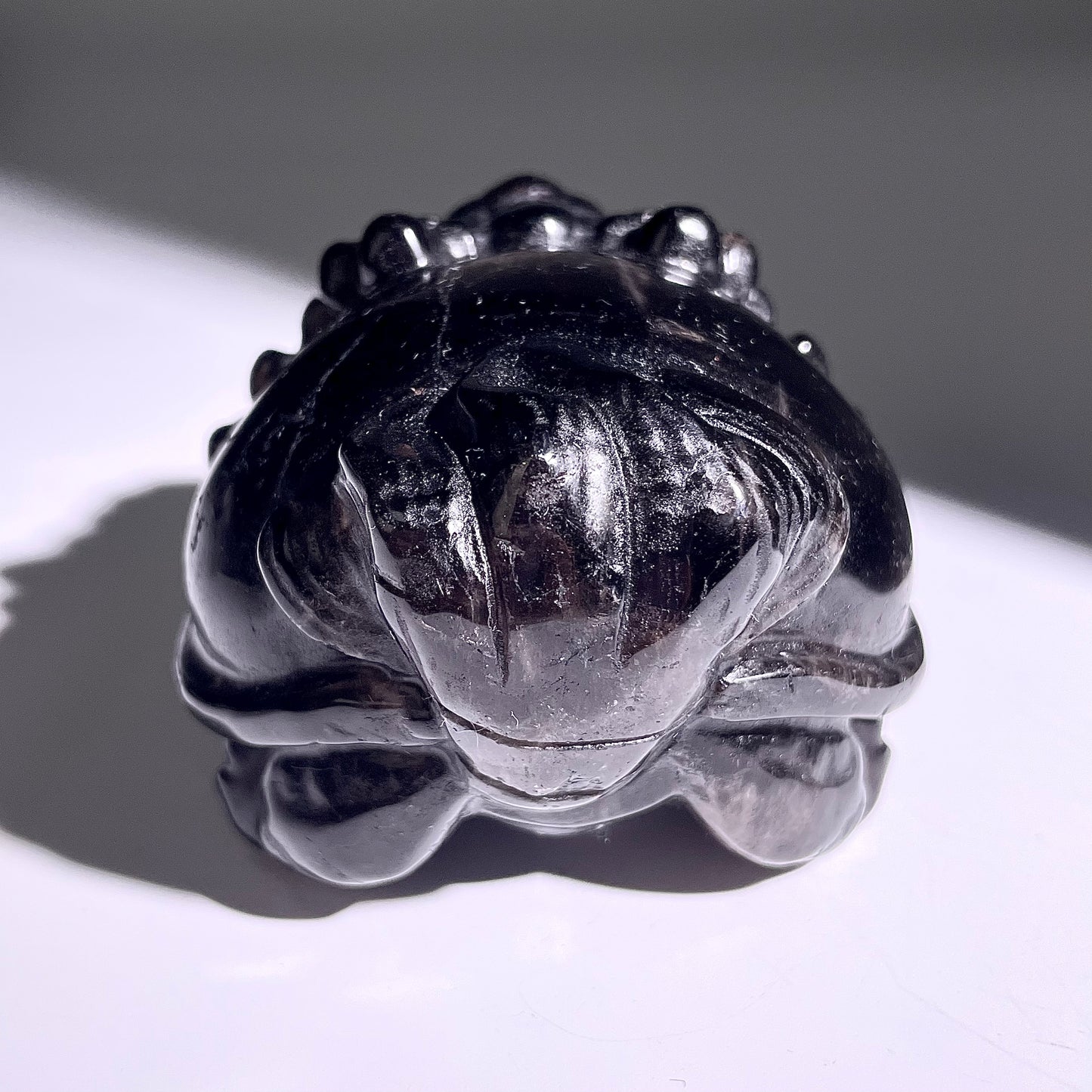 B402◇１点物◇モリオン  竜亀◇80×69×47mm◇天然石・鉱物・パワーストーン