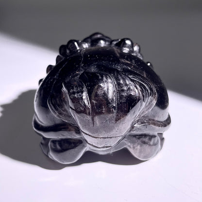 B402◇１点物◇モリオン  竜亀◇80×69×47mm◇天然石・鉱物・パワーストーン