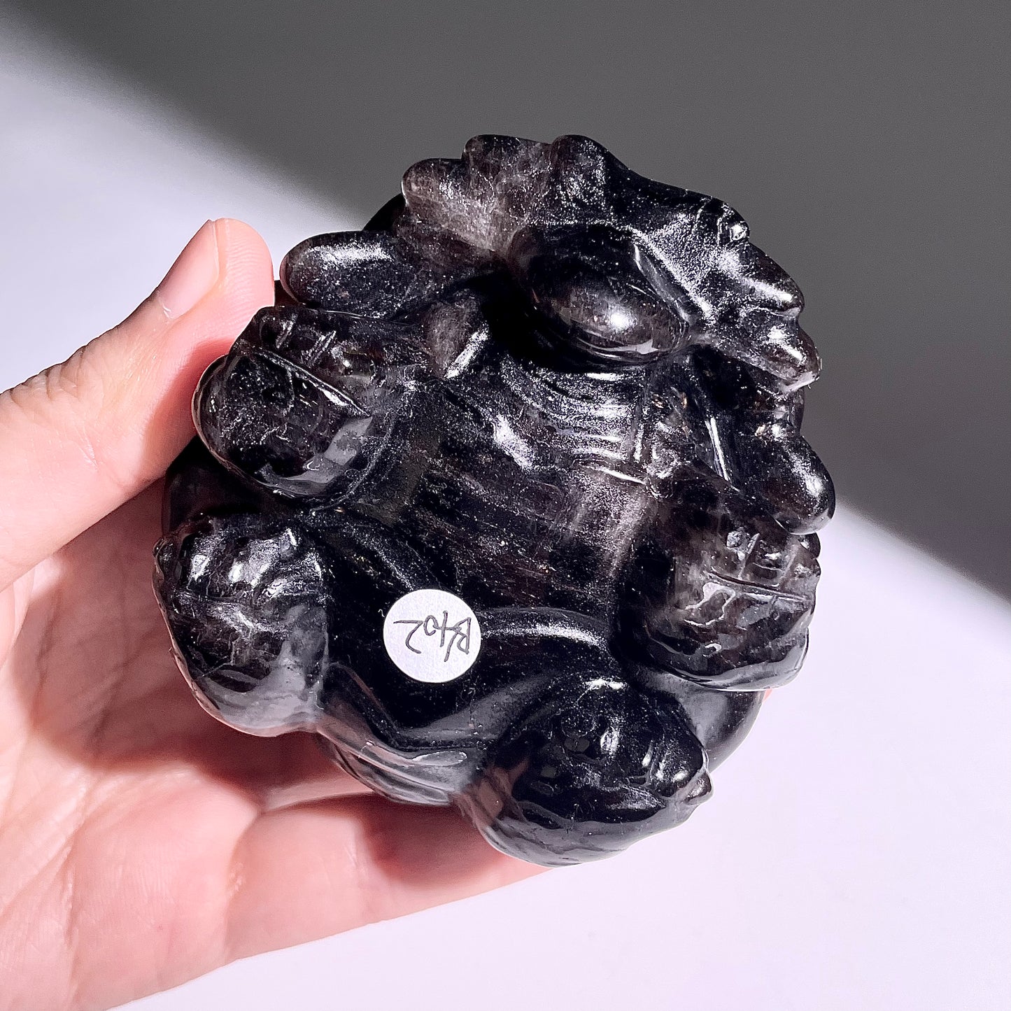 B402◇１点物◇モリオン  竜亀◇80×69×47mm◇天然石・鉱物・パワーストーン