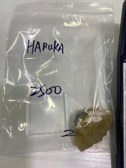 15-HARUKA様8月24日まで