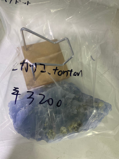 11-トンカツコ様