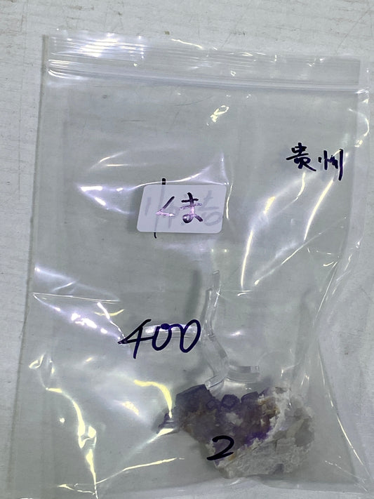 77-くま様11月3日まで