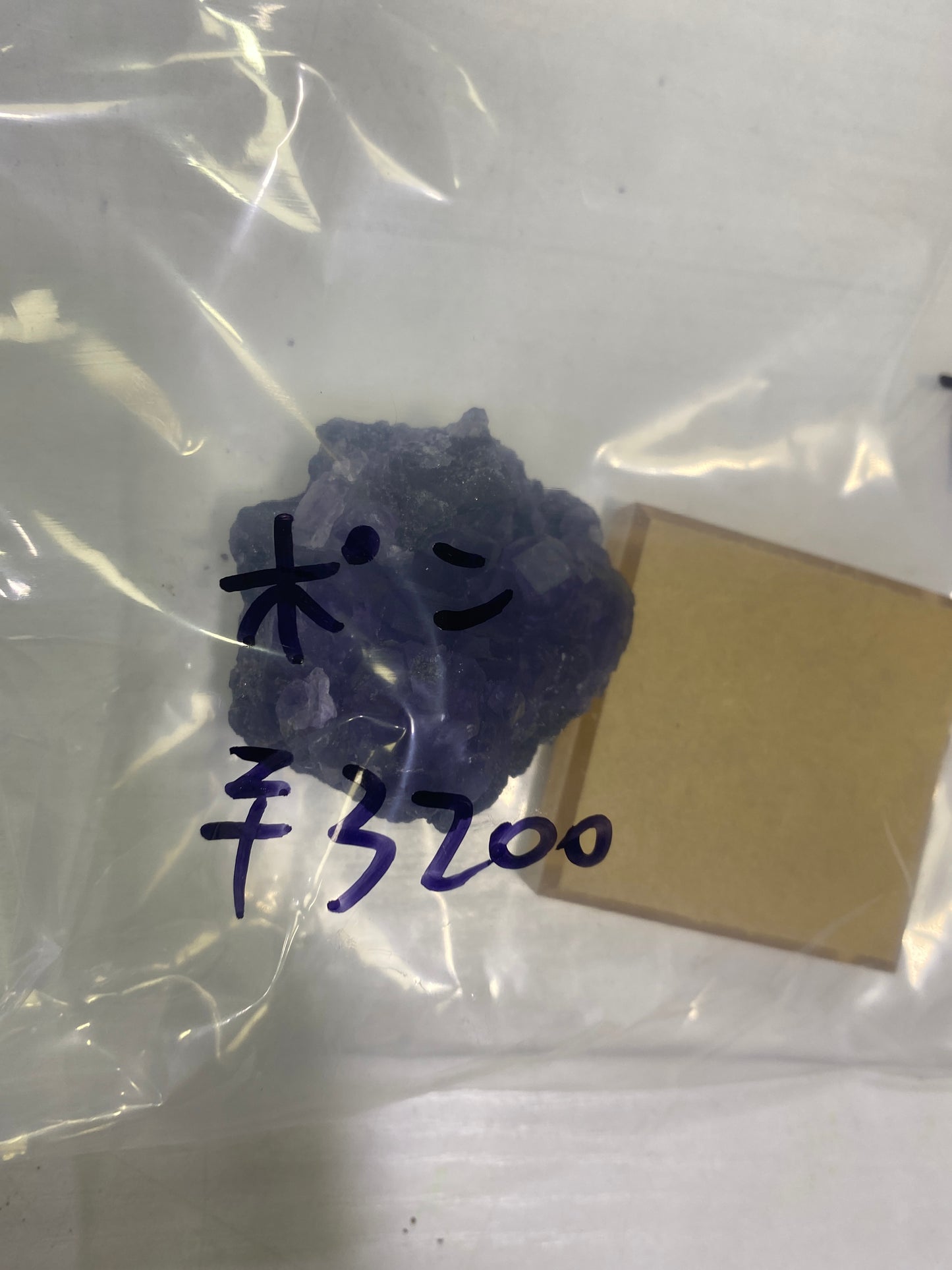 56-ポン様