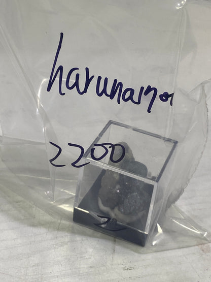 29-haruna1700様8月24日まで
