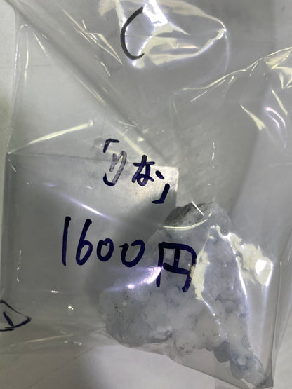 09-リな様8月25日まで