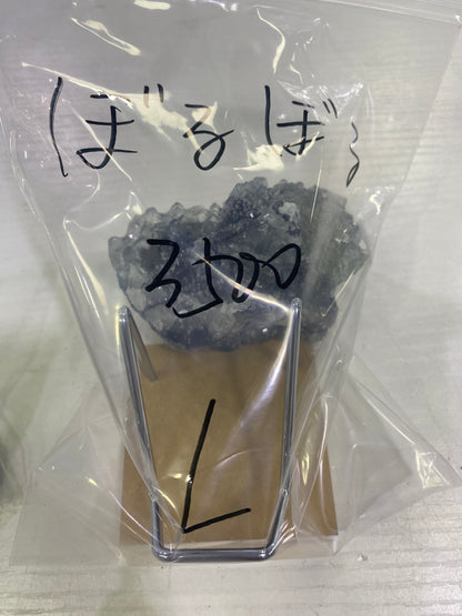 12-ぼるぼる様