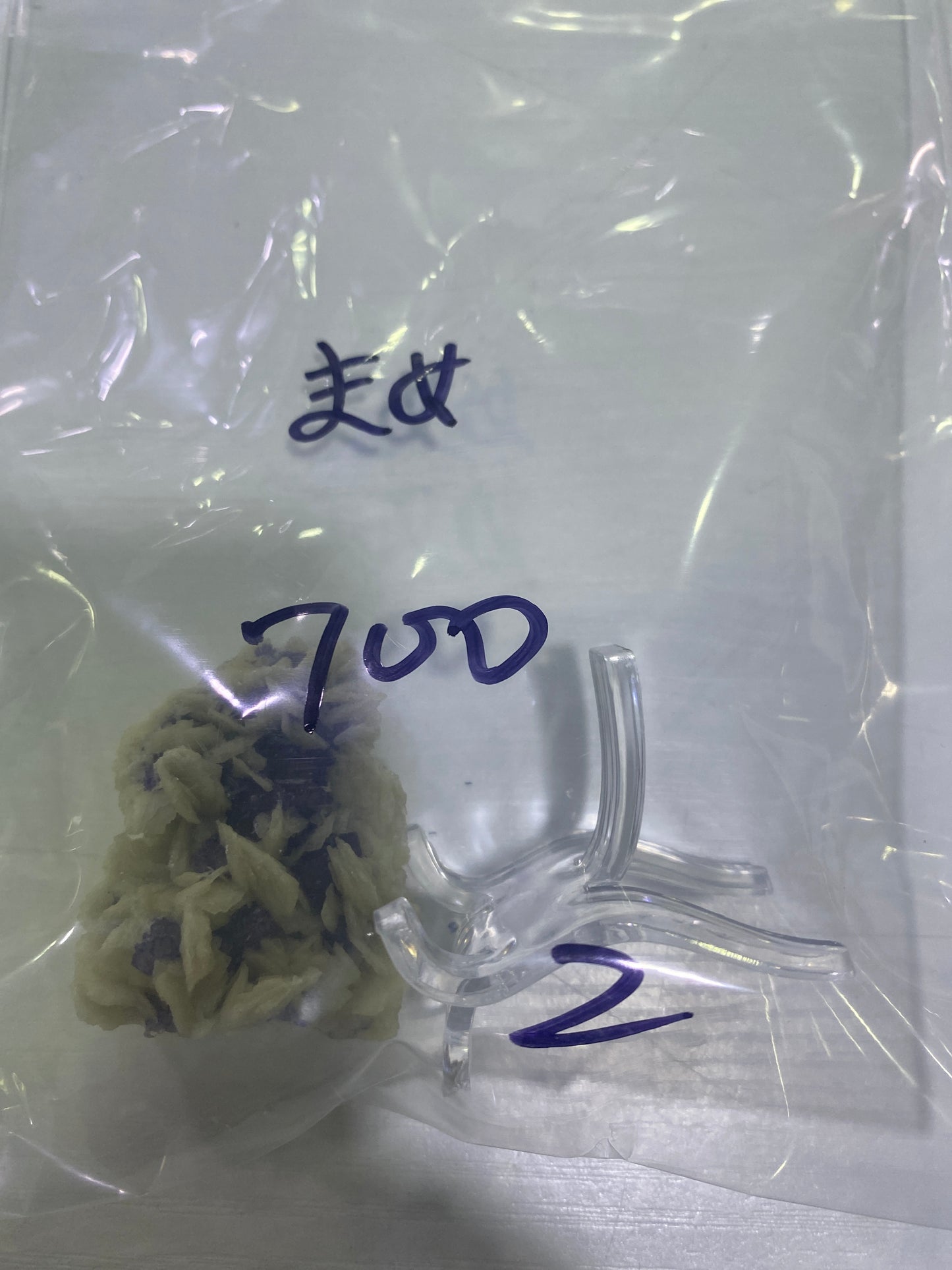 69-まめ様8月12日まで