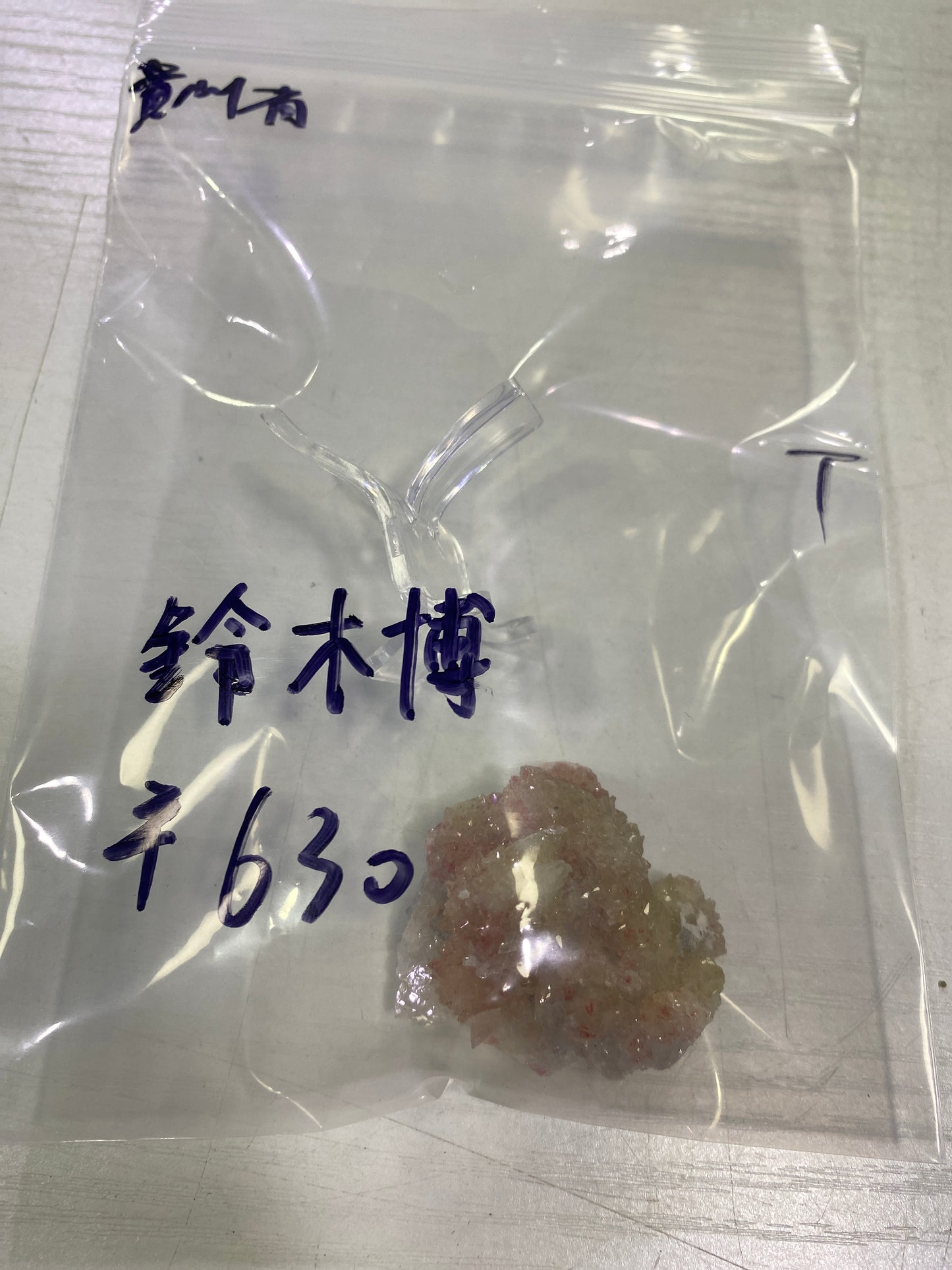 17-鈴木博様