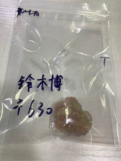 17-鈴木博様